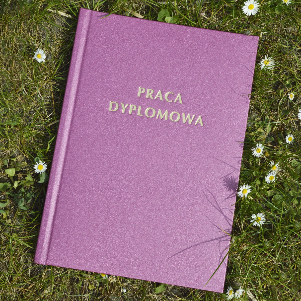 Okładka Malinowy Brokat