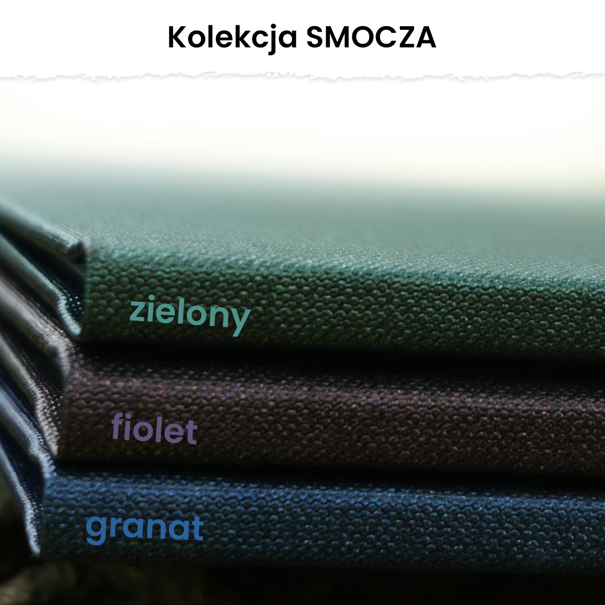 premium okładki prac dyplomowych  -smocza kolekcja